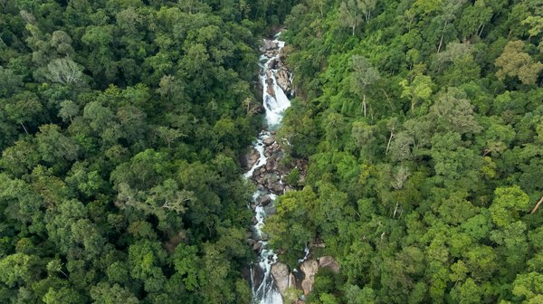 Site de rencontre gratuit : trouvez votre âme sœur facilement