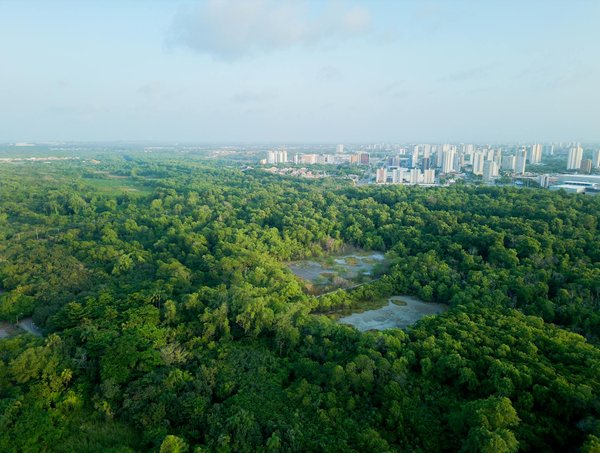 Mode femme : découvrez des pièces uniques pour toutes les occasions