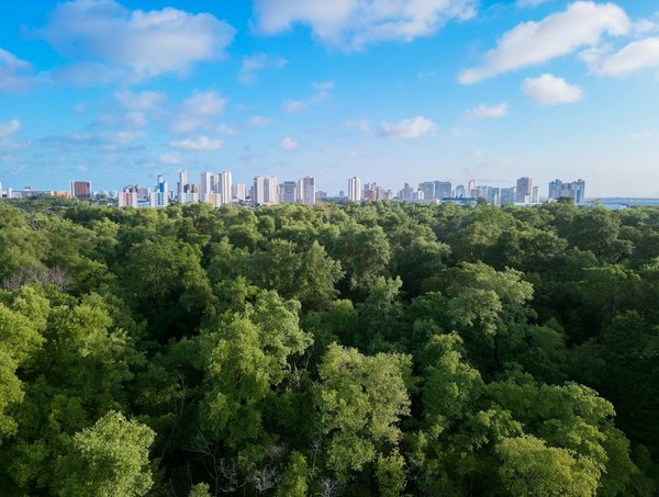 Pollution de l'eau en milieu rural: des conséquences dramatiques